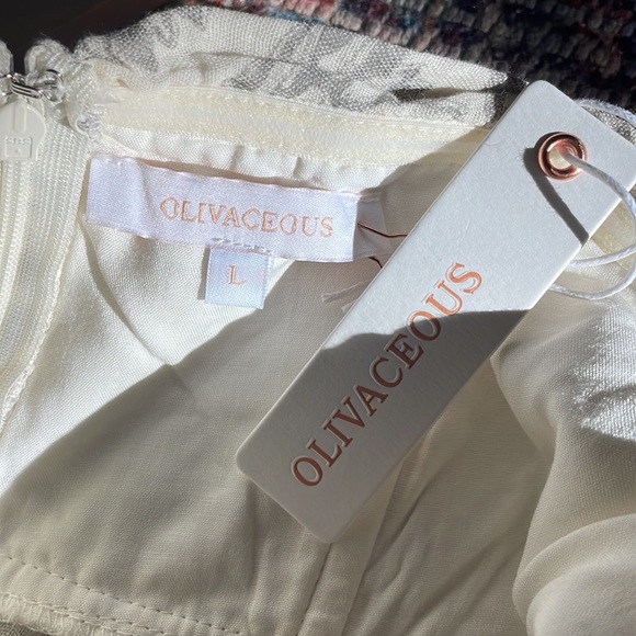 Olivaceous Offshore Maxi dress - Picture 6 of 6